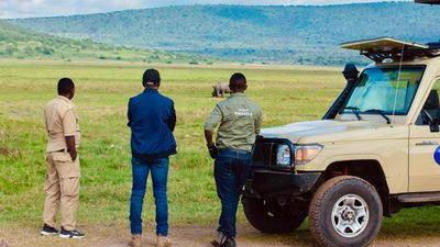 4 Days of Wildlife & Gorilla Trekking Safari Experience - Image - 8524